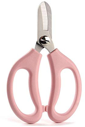 VNNHGB Ciseaux de Jardinage, Ciseaux pour Plantes, Ciseaux à Branches de Fleurs à tête Large, sécateurs manuels, Lames épaisses, Outils de Jardin pour Dames, sécateur de dérivation