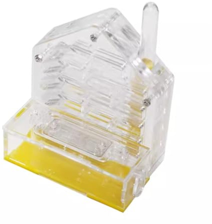 Ameisenburg Terrarium, Ameisenfarm Acryl Ameisennest Gelb 14x6,5x10cm