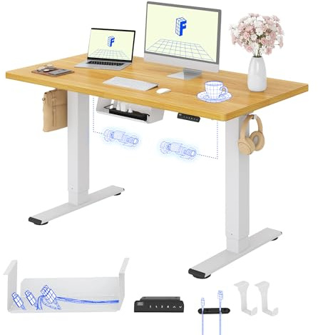 FLEXISPOT Höhenverstellbarer Schreibtisch elektrisch, Doppelmotor 120x60 cm | 25 mm einteilige Tischplatte, Kabelmanagement & Memory-Funktion,ergonomischer Büro-&Computertisch,elektrisch höhenverstellbar