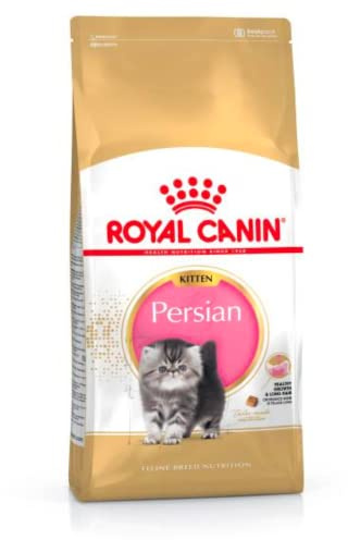 Royal Canin Katzenfutter Feline Kitten Persian 32, 4 kg, 1er Pack (1 x 4 kg), 660 g (12er Pack)