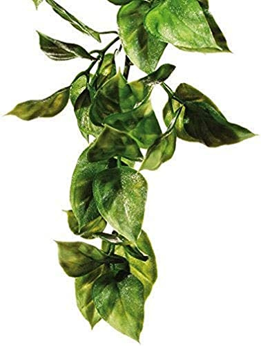 Exo Terra Exo Terra Terrarium Plant Amapallo Shrub Plastic Large pour Reptile/Amphibien