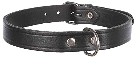 Trixie 19341 Basic Halsband, M: 37–43 cm/18 mm, schwarz