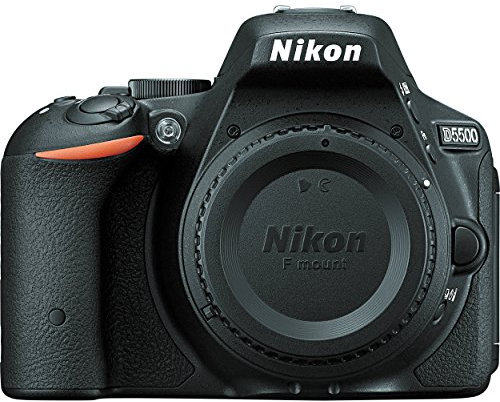 Nikon D5500 DX-format Digital SLR Body (Black)