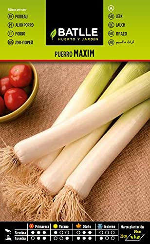 Batlle vegetable seeds - Leek Maxim (5g)