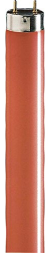 Phi.LM Lampada fluorescente 36 W Rosso TL D 36 W/15