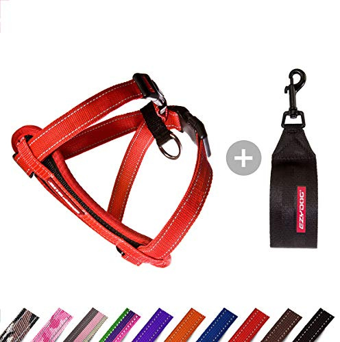 EzyDog Hundegeschirr Chest Plate – Sicherheitsgeschirr mit Sicherheitsgurt-Adapter – Reflektierendes, Gepolstertes Geschirr für kleine, mittelgroße und große Hunde (S, Rot)