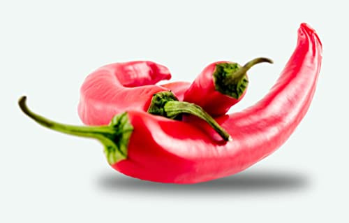 25 graines à semer - Le Grenier d'Abondance - PIMENT ROUGE Long ordinaire - Capsicum annuum