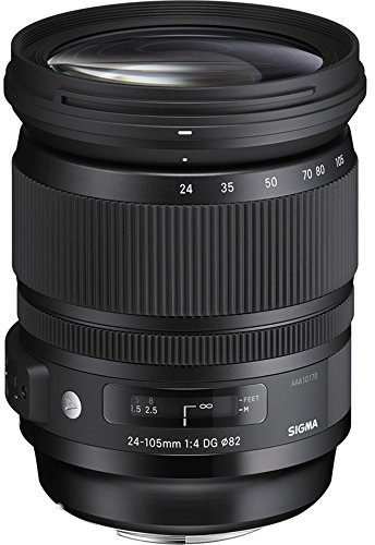 Sigma - Obiettivo 24-105mm-F/4.0 (A) -AF DG OS HSM, Attacco Sony