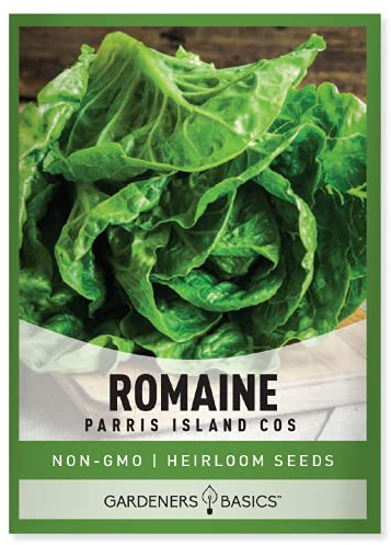 Gardeners Basics, Romaine Lettuce Seeds for Planting - Parris Island Cos Heirloom, Non-GMO Vegetable Variety- 2 Grams Seeds Great for Spring, Summer, Fall, Winter Garden and Hydroponics