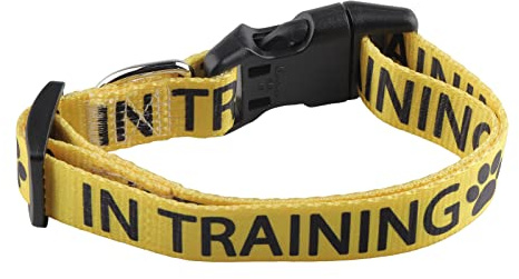 CENWA in Training Hundehalsband Arbeitshundehalsband Verstellbares Haustierhalsband (Gelb im Training)