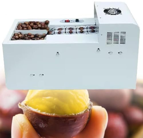 MIAOMI Macchina per Aprire i gusci di Castagne, Piccola Macchina Professionale per Tagliare Le nocciole, Adatta a Varie Dimensioni di Castagne(B)