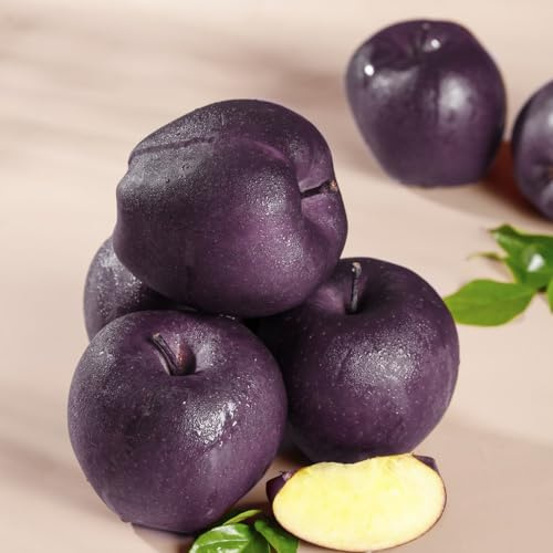comprare un melo Coltivare ver appartamento mela balcone esotico a prova d'inverno balcone colonnari cespugli di bacche frutteto giardino 500semi