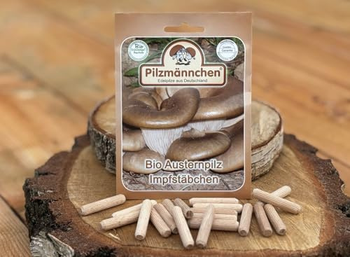 Bio Austernpilz Impfstäbchen 20 Stück – Pilzbrut Impfdübel für Holzstamm/Baumstamm & Strohballen – Austernseitling im Garten züchten – Pilzmännchen