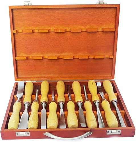 OITTo Sgorbie per Intaglio del Legno 12 Pezzi Set di scalpelli a Mano per Intaglio del Legno Professionale Kit di Strumenti per carpentieri, tornitori per Legno Scultura Fai-da-Te in Scatola di Legno