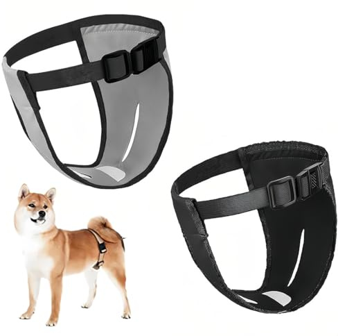 2 Pcs Couches pour Chien Femelle Lavables - Culotte Menstruelle pour Chiennes en Chaleur avec 6 Serviettes Hygiéniques (L)