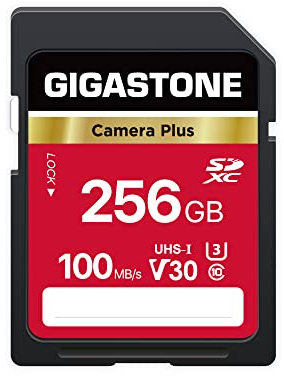 GIGASTONE 256GB SD Card, Camera Plus, V30 SDXC Memory Card High Speed UHD Video Compatible with Canon Nikon Sony Pentax Kodak Olympus Panasonic Digital Camera, with 1 Mini case