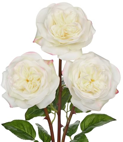 Hollyone 12cm Große Kunstrosen Cremeweiß 3 Stück Realistische Kunstblumen Rosen Seide 62cm Einzelne Rosen Künstliche Blume für Blumenarrangements Hochzeit Sträuße Party Haus Dekoration