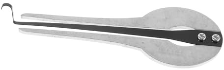 DECHOUS Tragbares Nationales Musikinstrument Maultrommel aus Metall für Anfänger mit Reichem Obertongesang und Leichtem Gewicht zum Aufführen Ethnischer Musik