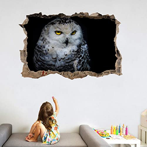 Kuletkear Eule 3D Wandtattoo I Wandbild Tier Wandaufkleber I Wandsticker Durchbruch 40 cm x 60 cm Poster Fensterblick I Wand Deko Aufkleber für Wohnzimmer Schlafzimmer Küche Türaufkleber