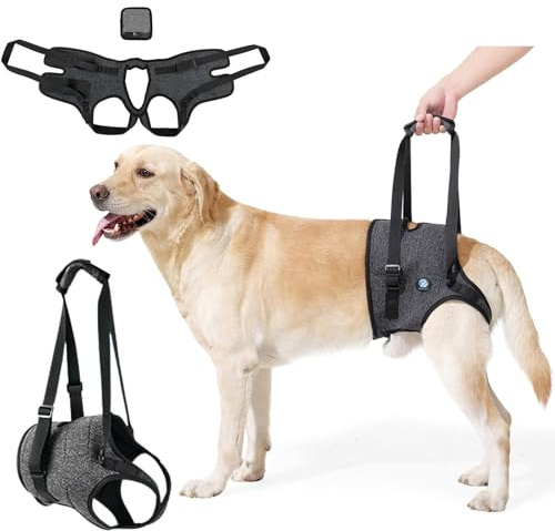 KAJILE Hinterbein-Hebegeschirr für behinderte Hunde Reha,Dunkelgrau,XL | Für verletzte Hunde zur Reha, spezialisiert auf Hinterbeine, Toilettenausschnitt, stabil, leicht transportabel