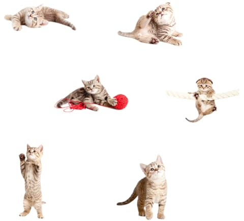 iplusmile 6 piezas Pegatinas Anti-colisión Estáticas para Ventanas Interiores Unidades Adhesivos Decorativos para Protección de Cristales y Aviso para Aves Película PVC sin Residuos