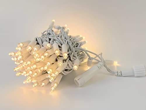 LEDZEIT - Profi Serie - Guirnalda de Luces LED, Cadena de Extensión sin Enchufe, Luz Continua, 10m, 100 LED Blanco Cálido, debe Conectarse a la Cadena de Básica. para Balcones, Terrazas o Pérgolas