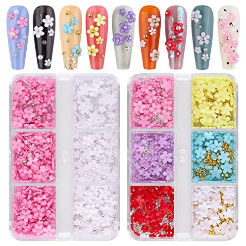 Kalolary Flower Nail Art Charms, 3D Acryl Blumen für Nägel Fünfblättrige Blumenornamente Nageledelsteine Nail Strass Gemischte Metallperlen für DIY Nail Art Designs Schmuck Herstellung(2 Boxen)