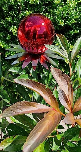 Jürgen Bocker Garten-Ambiente Blütenzauber Milano Rosenkugel 10 cm Edelstahl Gartenstecker Deko mit Stab 80 cm (rot poliert)