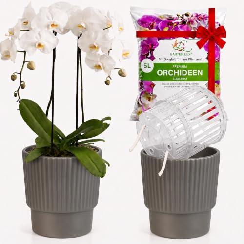 Garten lux Lot de 2pots avec système d'arrosage Automatique pour orchidées-Anthracite, Ø16cm, Pot pour orchidées 2,7l(Pot intérieur 1,9l avec Trous de Drainage et mèche)+5l de substrat pour orchidées