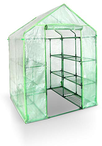 Berlan Gewächshaus BGH143X143-PE - begehbar mit Regal