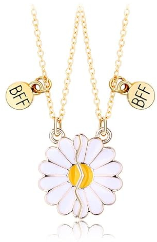 Hifot 2 Stück Silber Freundschaftskette, Bff Ketten für 2 Mädchen, Halskette mit Blume Gänseblümchen Anhänger - Modeschmuck für Freundin Geschenk Personalisierter Schmuck