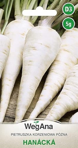 WegAna Prezzemolo Radice Hanacka 5g (Circa 4000 semi), Prezzemolo Radice Robusta Semi di Ortaggi Semi di Coltivazione per Serra Varietà Tardiva