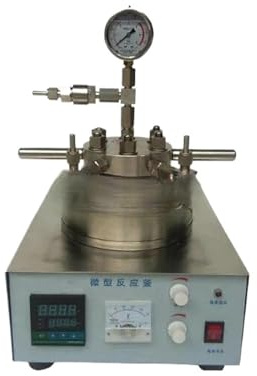 Reattore ad alta pressione Reattore for autoclave di sintesi idrotermale Bollitore di reazione da tavolo in acciaio inossidabile ad alta pressione Recipiente a pressione da laboratorio(TGYF-A-0.1L(316