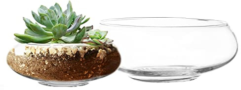 Royal Imports Round Glass Vase Set of 2 – Clear Decorative Glass Bowls for Flowers, Terrariums, Succulent Planters, Bubble Vases, Floral Decor Centerpieces, Glass Flower Pots for Home or Wedding Décor
