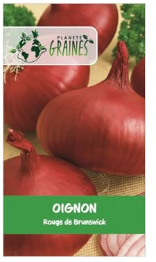 500 Graines d'Oignon Rouge 'Brunswick Rustique & de Conservation - Gros Bulbes Savoureux - Idéal Potager