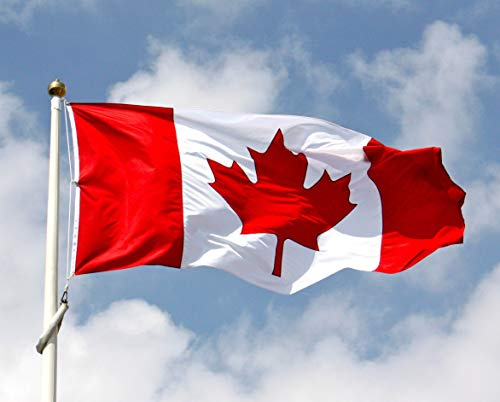 SHATCHI 5 X 3 Foot, Rugby 2019 Coupe du Monde National Grand 90x 150 cm Qualité Canada-Fans Supporter Drapeau du Pays Décorations D39événement Sportif Mixte Adulte, Canda, Medium