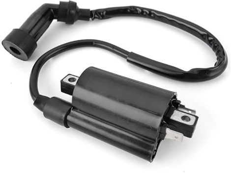 CDI Tändspole Magnetisk Tändspole För SMC För ATV För Barossa För Jumbo 300 301 302 RAM 300 För Razzer 300 Tändsystem