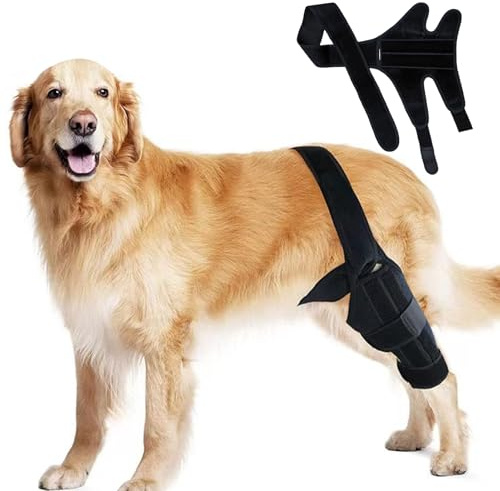 Genérico Protector de Rodilla del Perro | Negro de Rodilla de Perro Ajustable, Almohadilla de Rodilla cómoda para Cuidado de Lesiones en Las piernas, Protector de piernas para Perros medianos Grandes
