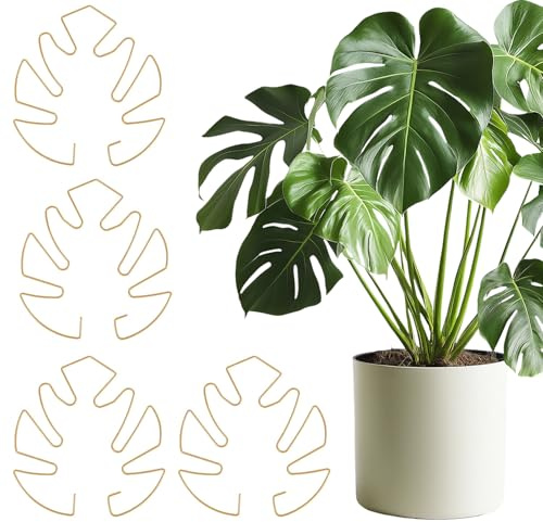 KIMHOME 4 supporti per piante, supporto per arbusti Monstera e telaio ad anello per piante da interno ed esterno