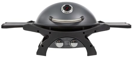 PIT BOSS - Barbecue Gaz 58 x 42.5 cm 5.2KW 2 bruleurs 2 Tablettes Thermomètre SPORTSMAN