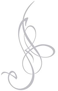 GRAZDesign Fenstertattoo Geschwungene Streifen, Selbstklebende Fensterfolie für Wohnzimmer Bad, Küche, Aufkleber für Glastür & Dusche - 82x50cm / Silbergrau