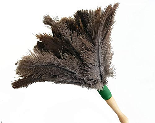 Plumero Avestruz 56 cm - No araña - Sin rastros - Plumero Atrapapolvo Mango Madera y 100% Pluma de Avestruz - Fácil de Limpiar - Limpieza Muebles, Ventiladores o Estanterías