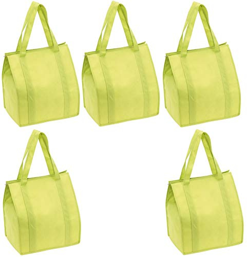 Preiswert&Gut 5 x Kühltasche Groß Einkaufstasche 35x25x38 Reißverschluss Stoffbeutel Hellgrün