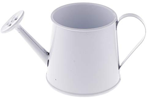 Pot de fleurs coloré en étain de style pastoral - Mini arrosoir pour bonsaï - Blanc