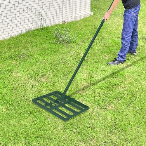 YUENFONG Rasen Nivellierrechen Rakel Lawn Leveling Profi aus Eisen, Levelingrake Flächenebner mit rutschfest Griff zum Sanden Abziehen, für Golfplatz, Hinterhof, Grün (25 x 50cm)