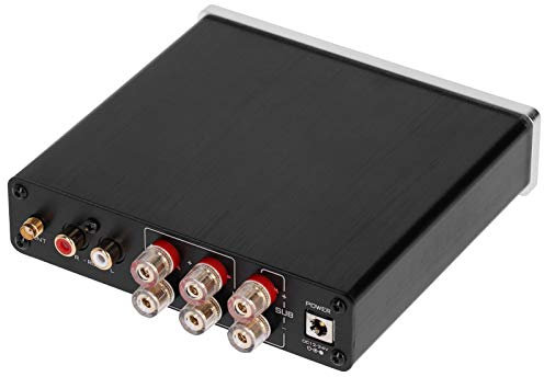 Amplificatore Digitale in Alluminio 100W, Amplificatore Ad Alta Potenza Audio Stereo per Casa