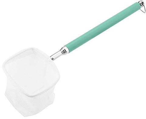 Rete da Pesca, Gambo telescopico Estensibile per Pesci Rete da Pesca con Manico in Acciaio Inossidabile Rete da Pesca per Acquario Fish Tank Pond Creek(Piazza-Verde)
