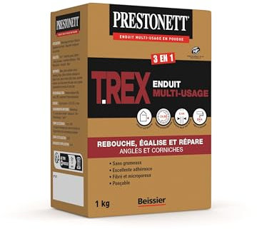 Enduit Extérieur Multi-Usage 3 en 1 - Reboucher Egaliser Réparer - PRESTONETT T REX en Poudre - Boîte de 1 KG