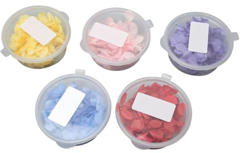 5 Flores Secas Prensadas con 5 Colores Brillantes, Fibra Decorativa de Hortensias Secas para la Artesanía de Bricolaje, Artesanía, Creación de Joyas de Resina, Decoración de
