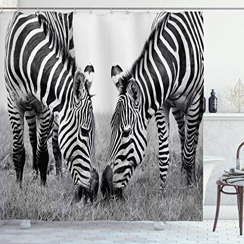 ABAKUHAUS Zebra Duschvorhang, Afrikanischer wild lebender Burchell, mit 12 Ringe Set Stielvoll Modern, 175x200 cm, Schwarz Weiß